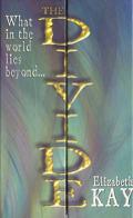 Cover of The Divide